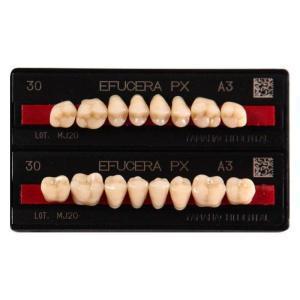Efucera PX Posterior трехслойные композитные зубы, бок низ.