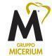 MICERIUM S.p.A. 