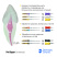 Машинные файлы ProTaper Universal, 6 штук, Dentsply Maillefer