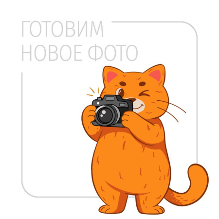 Разъем-гнездо для Raypex 5