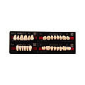 Купить CROWN PX Anterior в интернет-магазине Северная Каролина CROWN PX Anterior