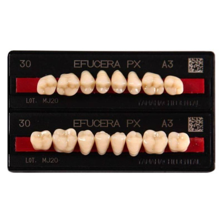 Efucera PX Posterior трехслойные композитные зубы, бок низ.