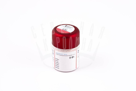 Керамическая масса Duceram Kiss D, Degudent